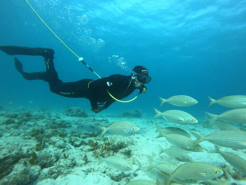 Corralejo: Lobos Island Beginner Dive Boat Tour and Snorkel - Practical Details and Tips