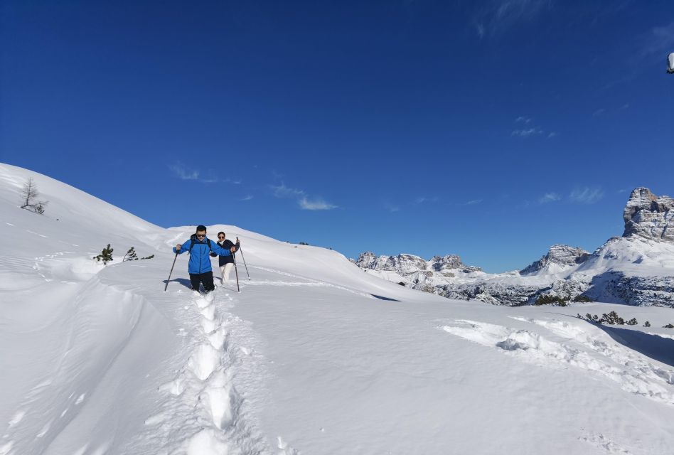 Cortina Dolomites: Winter Hiking & Sledding Experience - Suitability