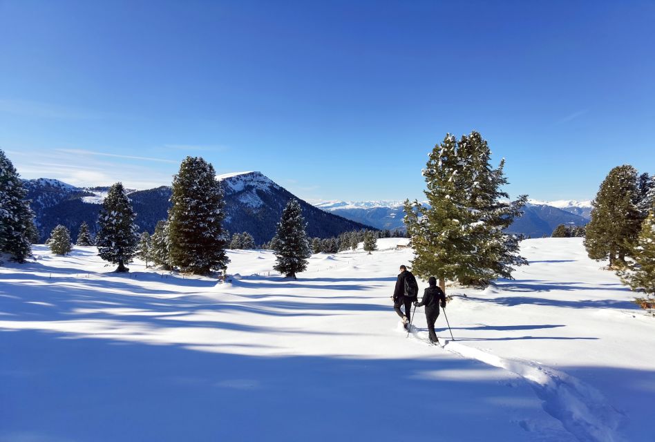 Cortina Dolomites: Winter Hiking & Sledding Experience - Frequently Asked Questions