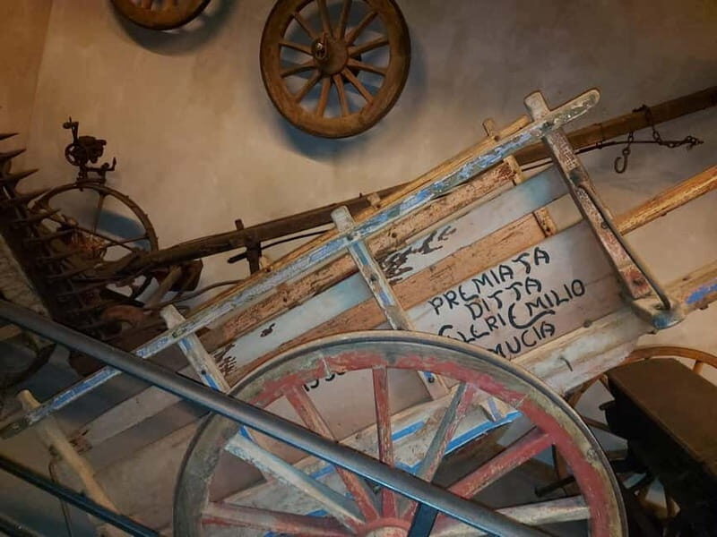 Cortona: Journey Through Time - Who Should Not Miss This