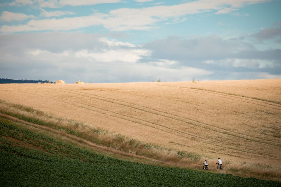 Cortona: Val Di Chiana E-Bike Tour With Optional Wine Lunch - Tuscan Countryside Exploration