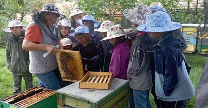 Corund, Hr: Visit to Bee-Keeper, Tasting & Hive-Opening - Good To Know