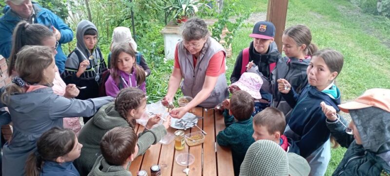 Corund, Hr: Visit to Bee-Keeper, Tasting & Hive-Opening - Pricing Details
