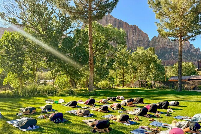 Cosmic Flow: Yoga, Meditation & Sound Healing in Zion - Who Should Consider This Experience?