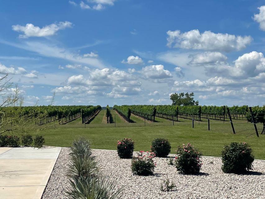 Cost-Effective Texas Hill Country Wine and Brewery Tour - Customization and Convenience