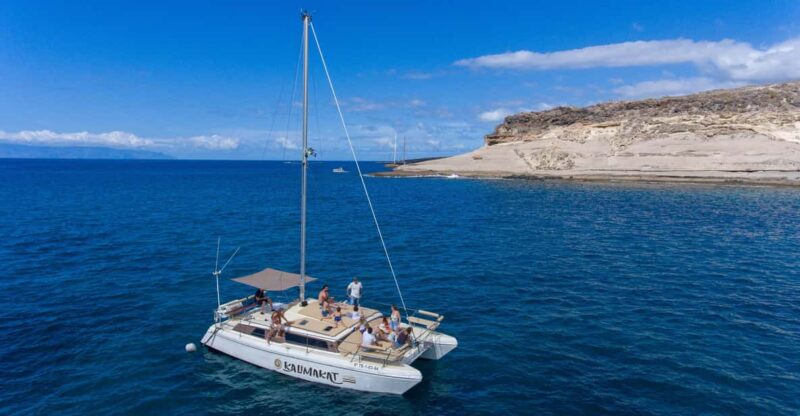 Costa Adeje: Catamaran Tour, Snorkelling, Snacks & Drinks - Amenities and Crew