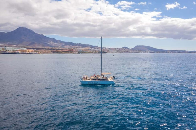 Costa Adeje: Private Catamaran Tour 22 Persons Max - Setting Off from Puerto Colon