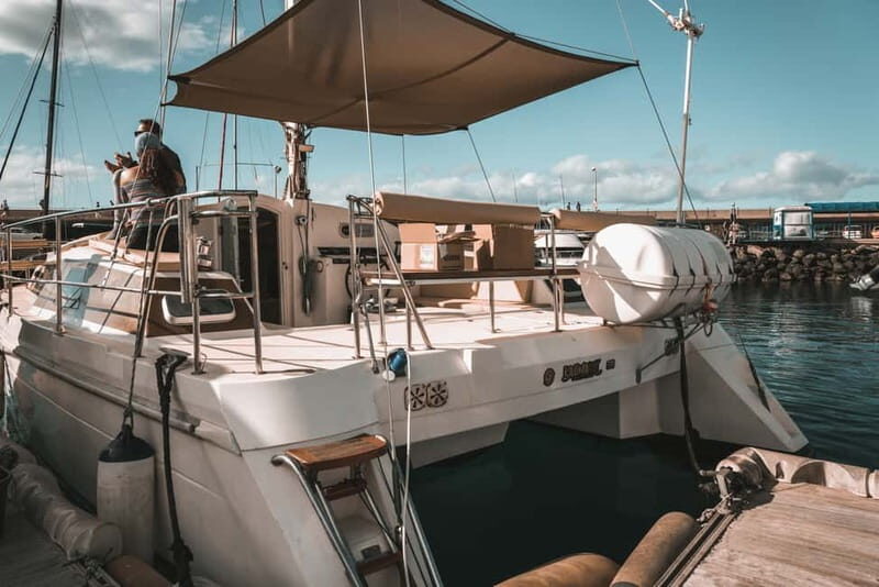 Costa Adeje: Private Catamaran Tour 22 Persons Max - What’s Included & Practical Details