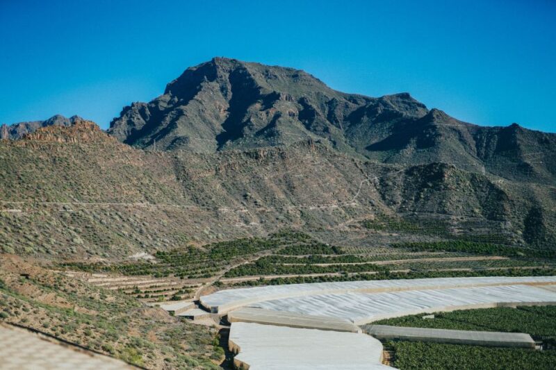Costa Adeje: Views & Drinks Tuk Tuk Tour - Guided Fruit Farming