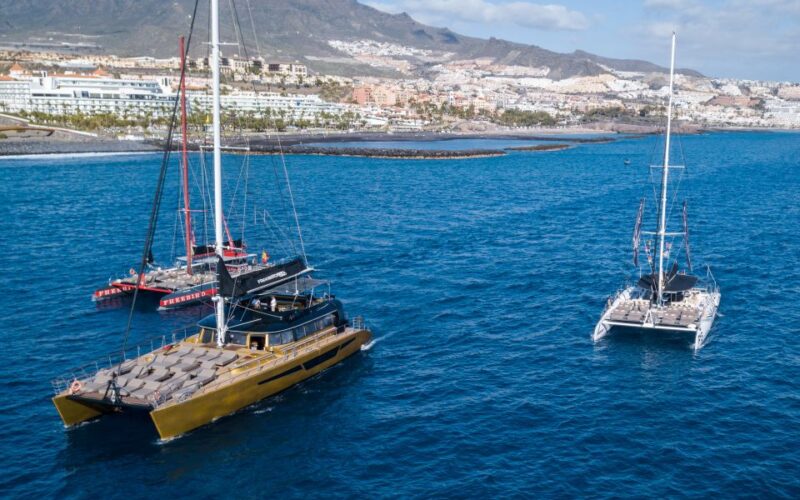Costa Adeje: Whale Watching Cruise With Snack and Drinks - Key Points