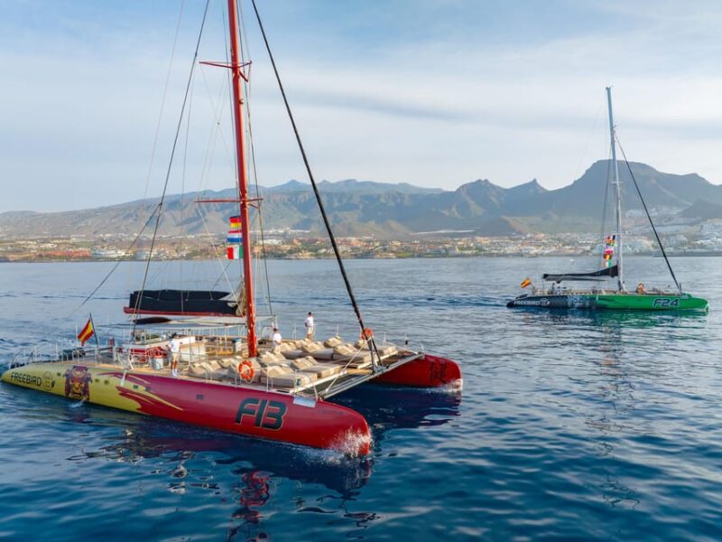 Costa Adeje: Whale Watching Cruise With Snack and Drinks - Experience and Amenities