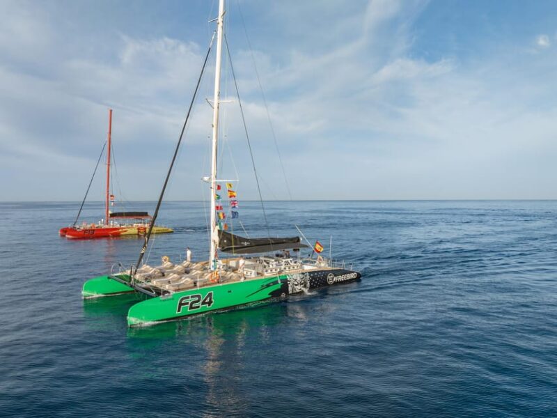 Costa Adeje: Whale Watching Cruise With Snack and Drinks - Wildlife and Learning
