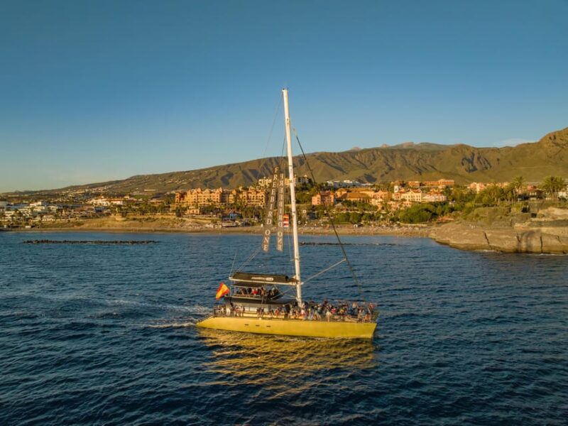 Costa Adeje: Whale Watching Cruise With Snack and Drinks - Customer Feedback and Ratings