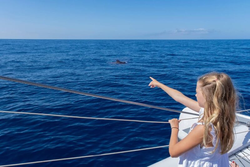 Costa Adeje: Whale Watching Cruise With Snack and Drinks - Practical Information