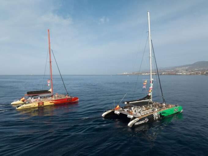Costa Adeje: Whale Watching Cruise With Snack and Drinks - Meeting Point and Pickup
