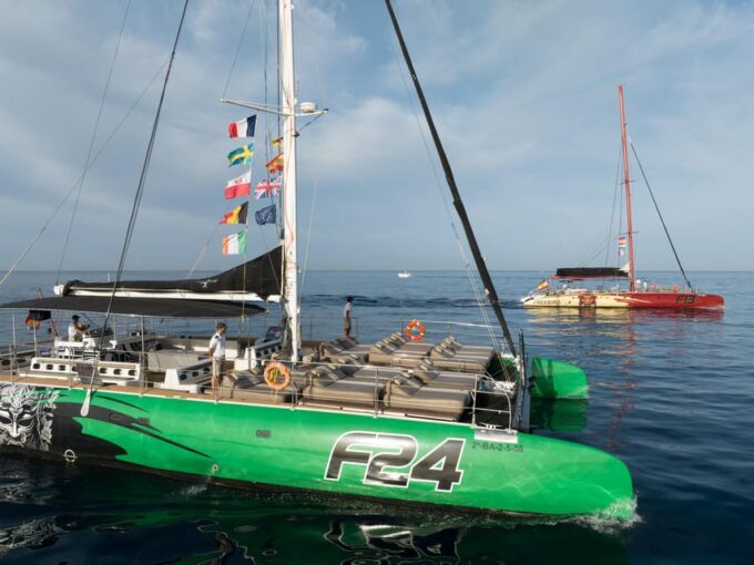 Costa Adeje: Whale Watching Cruise With Snack and Drinks - What to Bring and Considerations