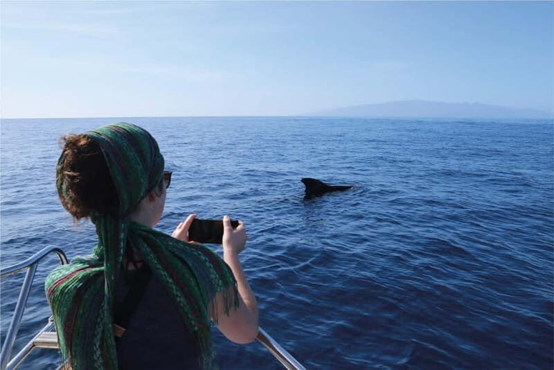 Costa Adeje: Whale Watching Eco Experience with Hydrophone. - Costa Adeje: Whale Watching Eco Experience with Hydrophone