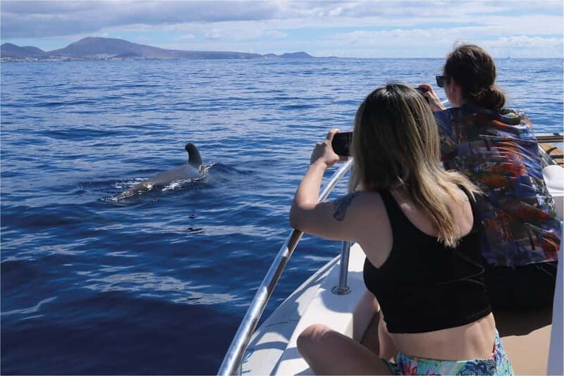 Costa Adeje: Whale Watching Eco Experience with Hydrophone. - An In-Depth Look at the Experience