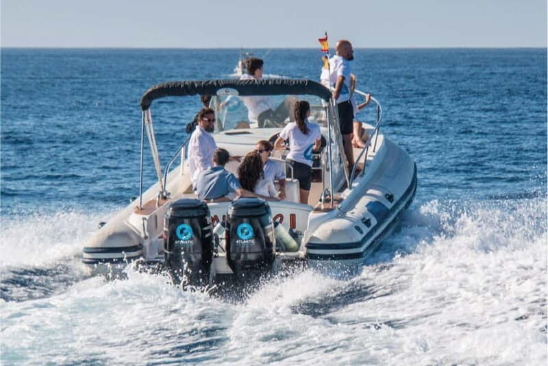 Costa Adeje: Whale Watching Eco Experience with Hydrophone. - FAQs