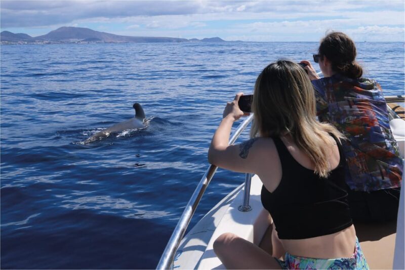Costa Adeje: Whale Watching Eco Experience With Hydrophone. - Key Points