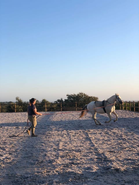 Costa Alentejana: Horse tour in Serra de Grândola - Who Will Love This Tour?