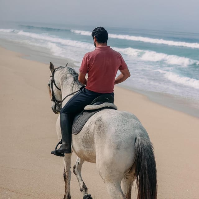 Costa Alentejana: Horse tour in Serra de Grândola - Practical Tips for Participants