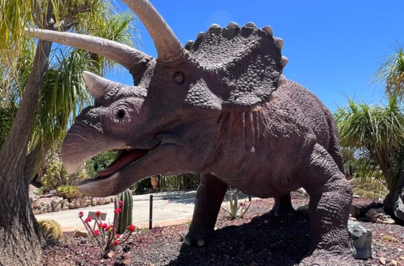 Costa Blanca: DinoPark Algar Entry Ticket - Customer Ratings and Reviews