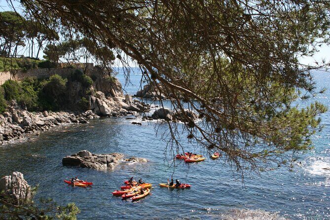 Costa Brava Guided Kayak and Snorkeling Excursion in Playa de Aro - Introduction to the Experience