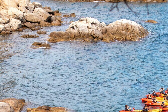 Costa Brava Guided Kayak and Snorkeling Excursion in Playa de Aro - The Marine Environment and Preservation