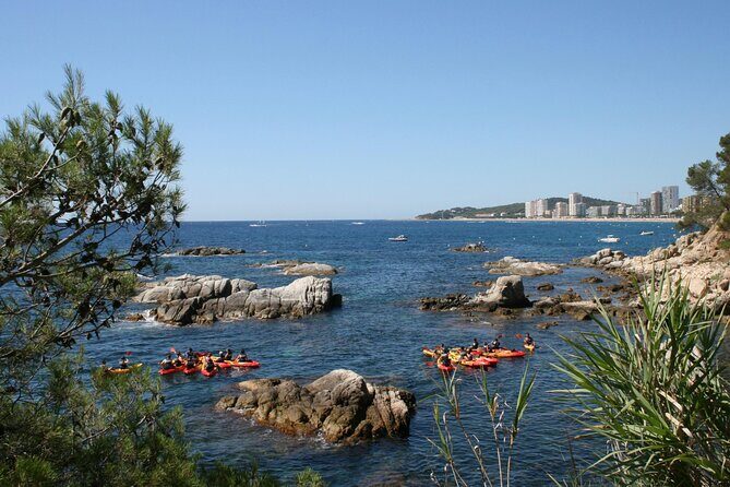 Costa Brava Guided Kayak and Snorkeling Excursion in Playa de Aro - Additional Considerations