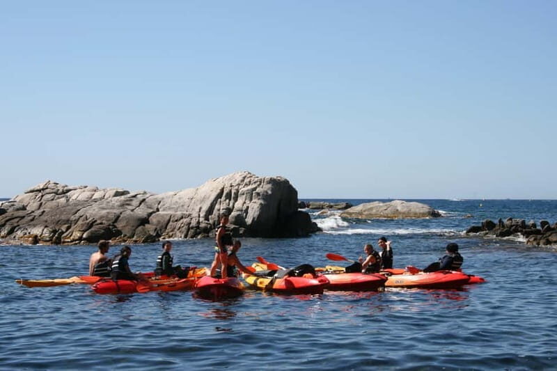 Costa Brava: Sant Feliu de Guíxols Kayak & Snorkel Tour - Who Will Love This Tour?