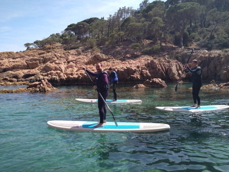 Costa Brava: Stand-Up Paddleboarding Lesson and Tour - Paddleboarding Basics and Positions