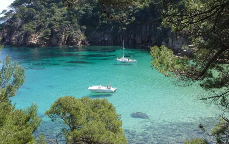 Costa Brava: tour and day trip by boat among hidden coves - Key Points