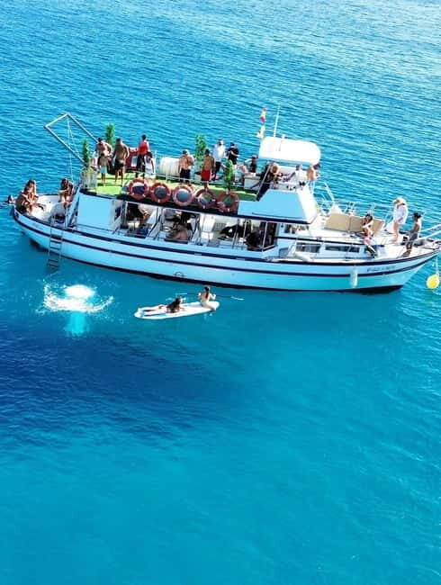 Costa Calma: Fuerteventura Dolphin Watching Boat Tour - Why Consider the Costa Calma Dolphin Watching Tour?