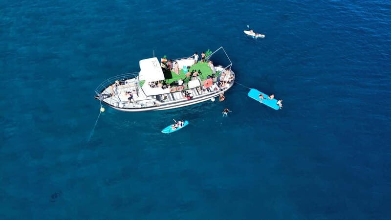 Costa Calma: Fuerteventura Dolphin Watching Boat Tour - The Sum Up