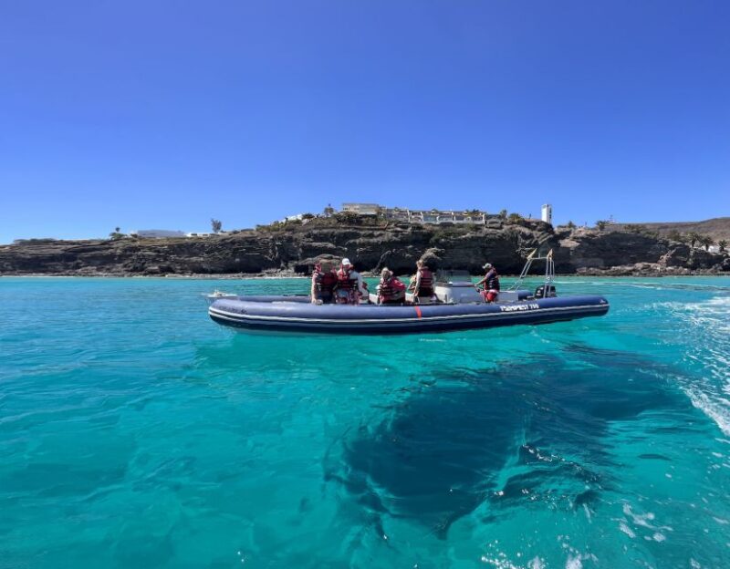 Costa Calma: Fuerteventura Dolphin Watching Zodiac Boat Tour - Tour Highlights