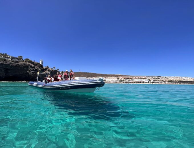 Costa Calma: Fuerteventura Dolphin Watching Zodiac Boat Tour - Frequently Asked Questions