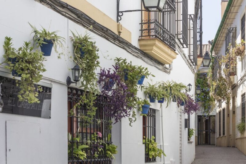 Costa Del Sol: Full-Day Cordoba Tour - Itinerary Highlights