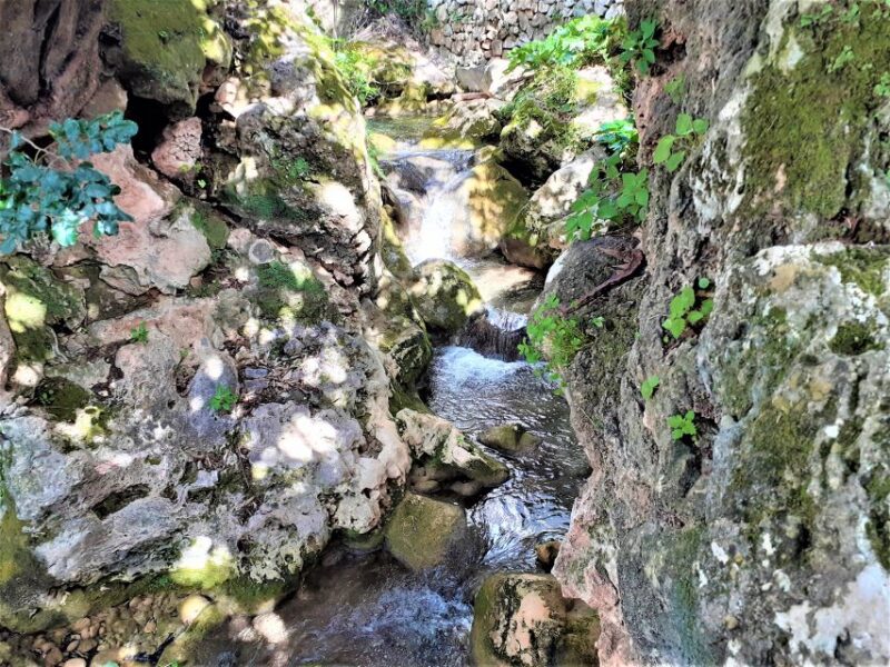 Costa Del Sol: Private Tour to Ojen - Highlights of Ojen