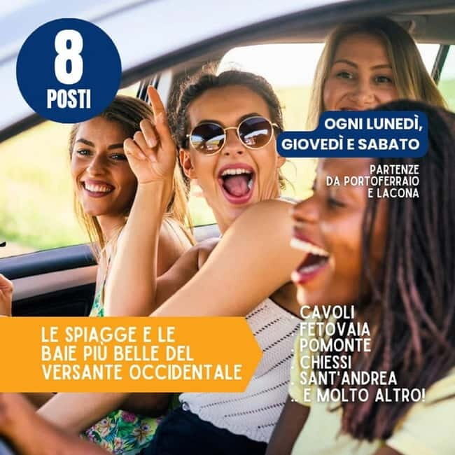 Costa del Sole Elba Island: Tour from Portoferraio and Lacona - Who Should Consider This Tour?