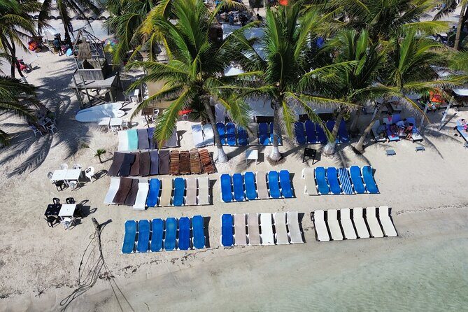 Costa Maya Beach Breack Food & Drinks - What to Expect from the Costa Maya Beach Break Food & Drinks Tour