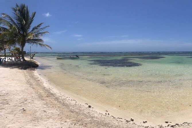 Costa Maya Beach Break All Inclusive From Port - The Sum Up