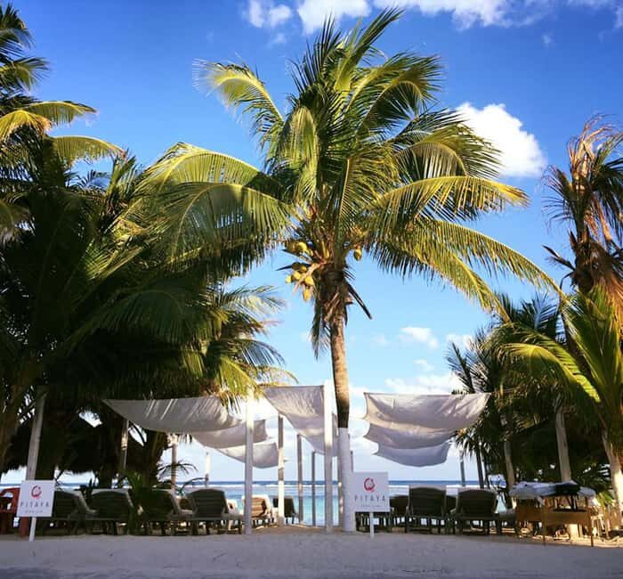 Costa Maya: Beach with Open Bar, Massage, Lunch & Snorkeling - An In-Depth Look at the Experience