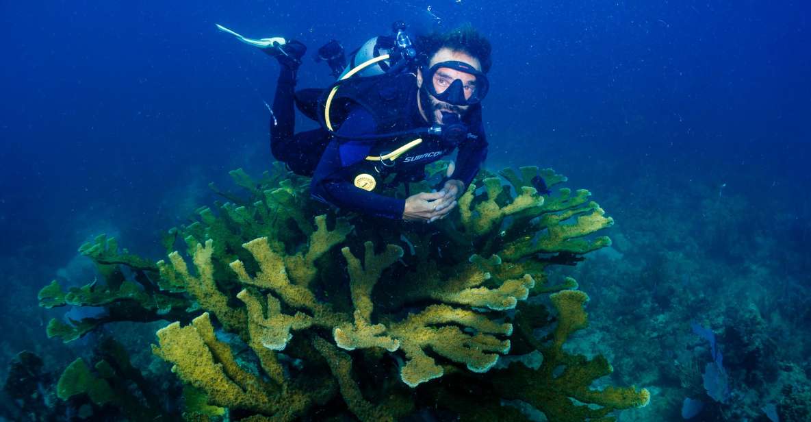 Costa Maya: Discover Scuba Diving Reef Experience - Key Points