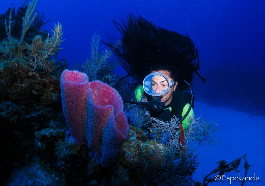 Costa Maya: Discover Scuba Diving Reef Experience - Restrictions and Qualifications