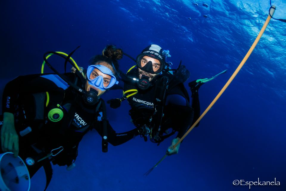 Costa Maya: Discover Scuba Diving Reef Experience - Meeting Point and Transportation