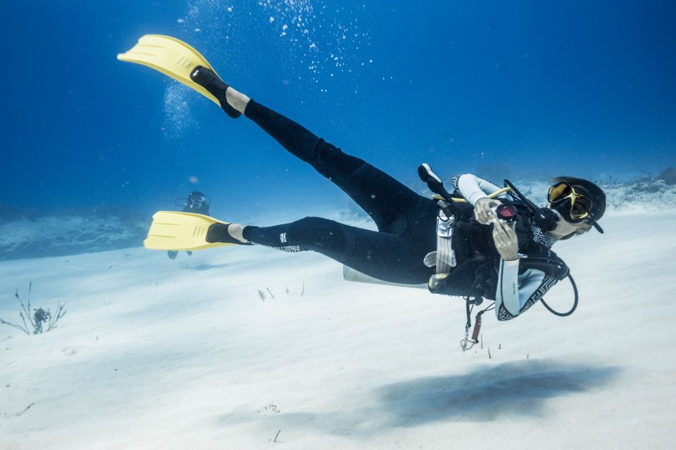 Costa Maya: Discover Scuba Diving Reef Experience - Class and Instruction