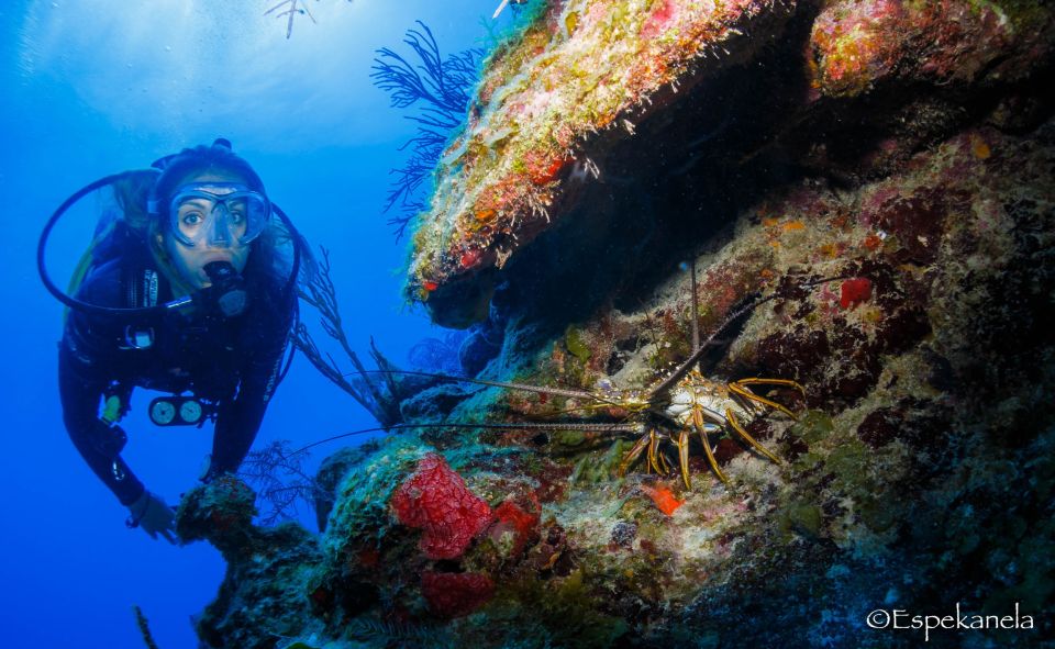 Costa Maya: Discover Scuba Diving Reef Experience - Cancellation Policy