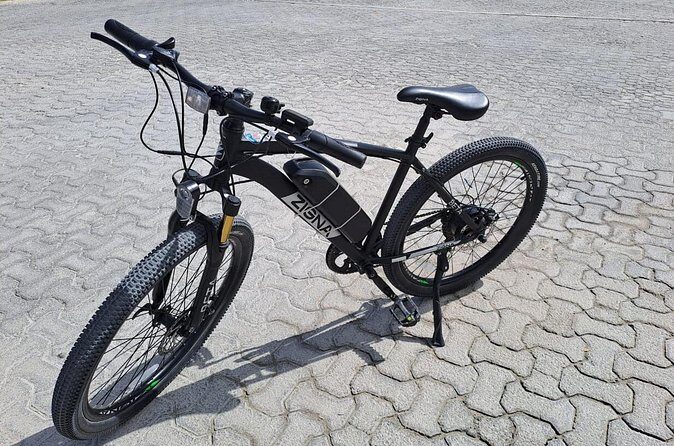 Costa Maya E-Bikes Rental - Who Is This Tour Best For?