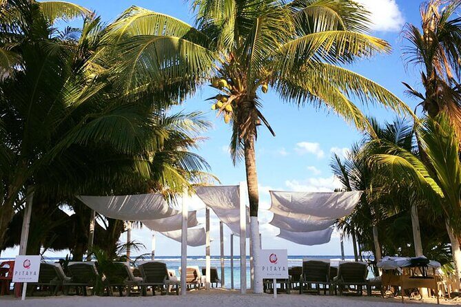 Costa Maya - Pitaya Beach Open Bar, Snorkeling, Massage and Lunch - The Experience in Detail